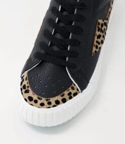 Willa Black Multi Mix Sneakers -Lynx Shoes Shop BW10093B29EX 5