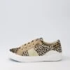 Wave Leopard Multi Mix Sneakers -Lynx Shoes Shop BW10094ABKEX 2