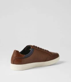 Aulk Brown Smooth Sneakers -Lynx Shoes Shop C810018BROSM 4