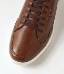 Aulk Brown Smooth Sneakers -Lynx Shoes Shop C810018BROSM 5