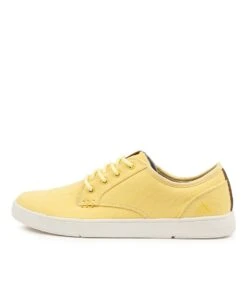 C-albatross Lemon Canvas