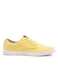 C-albatross Lemon Canvas -Lynx Shoes Shop CF10090Y25CA 5