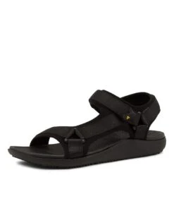 Hassile Cf Black Multi -Lynx Shoes Shop CF11349BLAHG 2