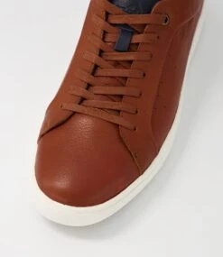 Neutron Brown Leather Sneakers -Lynx Shoes Shop CF11670BROLE 5