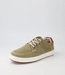Nilson Taupe Canvas Sneakers -Lynx Shoes Shop CF11697NGVCA 3