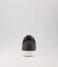 Albatross Mw Grey Canvas Sneakers -Lynx Shoes Shop CF11709GRYCA 5