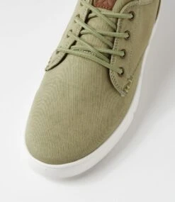 Albatross Mw Sage Canvas Sneakers -Lynx Shoes Shop CF11709H93CA 6