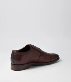 Validity Brown Leather Lace Up Flats 9 Validity Brown Leather Lace Up Flats -Lynx Shoes Shop CF11946BROLE 4