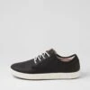 Neptune Black Sneakers 1 Neptune Black Sneakers -Lynx Shoes Shop CF12056BLASM 2