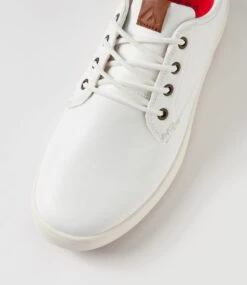 Neptune White Sneakers -Lynx Shoes Shop CF12056WHISM 5