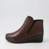 Olaine Dark Brown Leather Chelsea Boots 1 Olaine Dark Brown Leather Chelsea Boots -Lynx Shoes Shop DF12701EFJLE 2