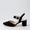 Lilsy Black Suede Heels -Lynx Shoes Shop DF12797BLASU 2
