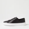 Oaks Black Leather Sneakers -Lynx Shoes Shop DF12857BLALE 2
