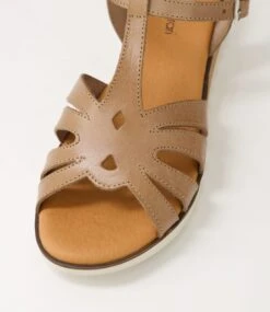 Begraciad Taupe Leather Sandals -Lynx Shoes Shop DF12909NGVLE 5