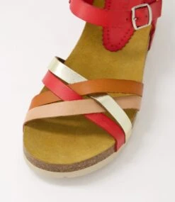 Gemad Red Multi Sandals -Lynx Shoes Shop DF12917REDHG 5