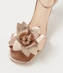 Thorough Champagne Leather Sandals -Lynx Shoes Shop DF13123N74LE 5