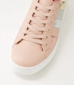 Lively Rose Multi Sneakers -Lynx Shoes Shop IL12036P76SM 5