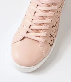 Looly Blush Sneakers -Lynx Shoes Shop IL12209P00SM 5