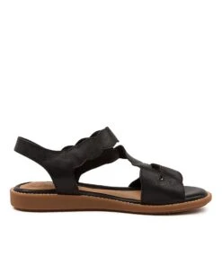 Specials Black-gum Sole -Lynx Shoes Shop SU11817B0HLE 5