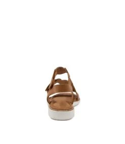 Specials Dk Tan-white Sol -Lynx Shoes Shop SU11817TGCLE 3