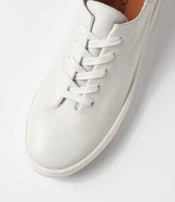 Tradme White Leather Lace Up Flats -Lynx Shoes Shop SU12414WHILE 5
