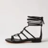 Patton Black Leather Sandals -Lynx Shoes Shop TO12538BLALE 2