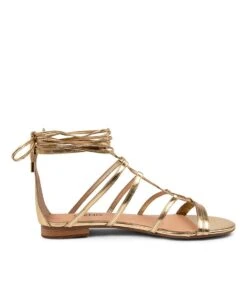 Patton Pale Gold Croc -Lynx Shoes Shop TO12538F39RH 5