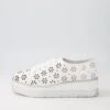 Sancia White Leather Sneakers 1 Sancia White Leather Sneakers -Lynx Shoes Shop TO13158WHILE 2